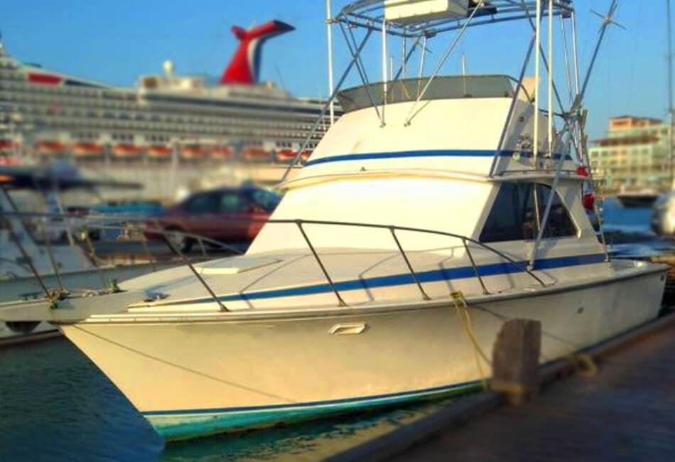 36 Ft Flybridge Elgin Yacht available for charter