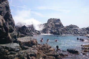Natural Pool Horseback Riding Tour in Aruba activity