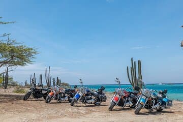 Harley-Davidson RENTALS ONLY 4 hrs activity