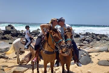 North Countryside National Park & Beach Horseback Ride activity